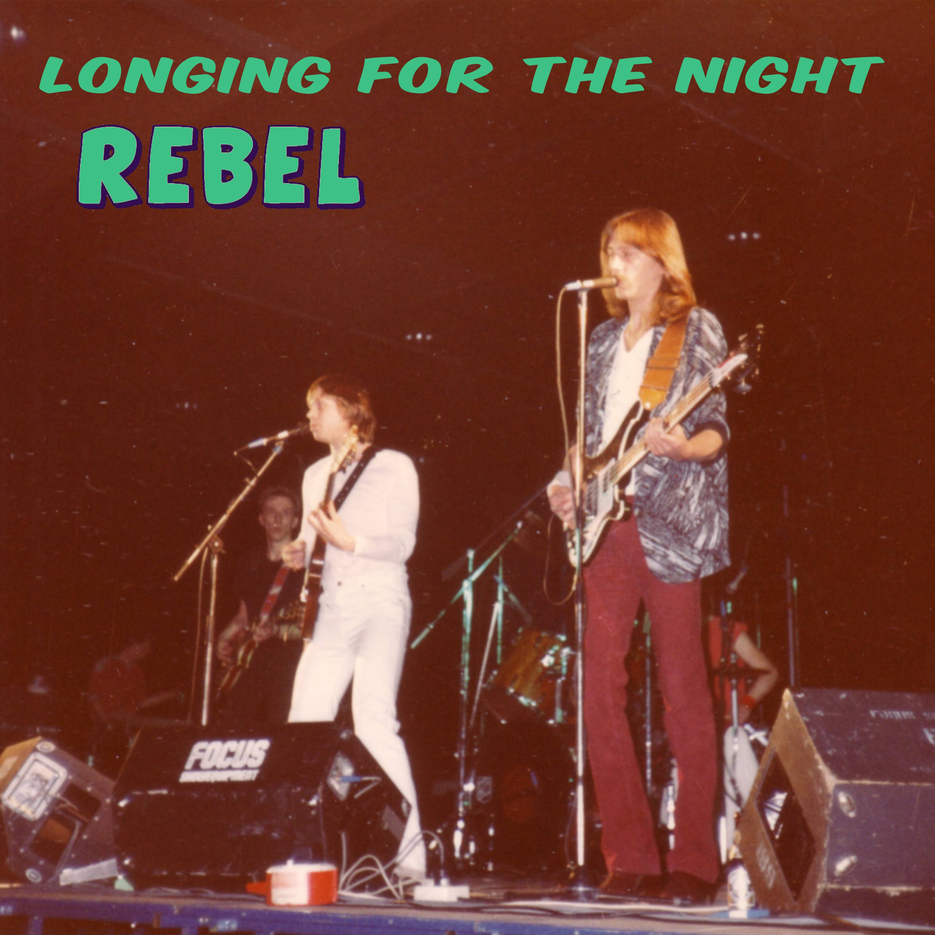 Longing For The Night